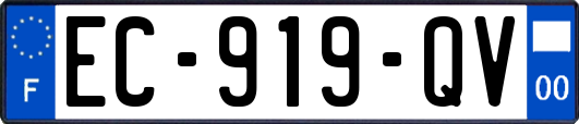 EC-919-QV