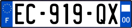 EC-919-QX