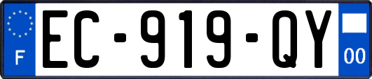 EC-919-QY