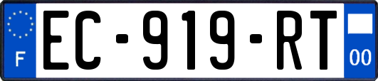 EC-919-RT