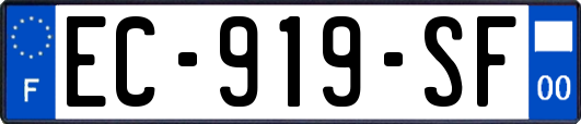 EC-919-SF
