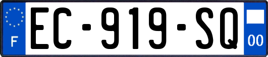 EC-919-SQ