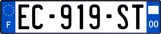 EC-919-ST