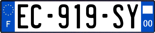 EC-919-SY