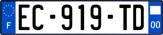 EC-919-TD