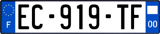 EC-919-TF