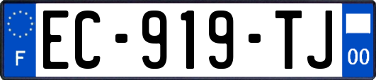 EC-919-TJ