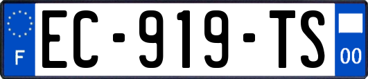 EC-919-TS