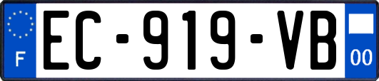 EC-919-VB