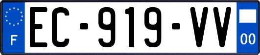 EC-919-VV