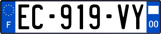 EC-919-VY