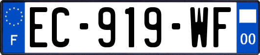 EC-919-WF