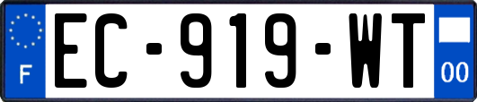EC-919-WT