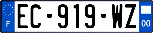 EC-919-WZ