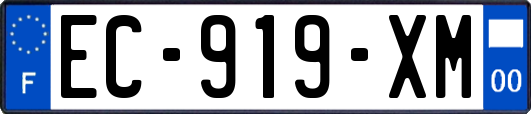 EC-919-XM