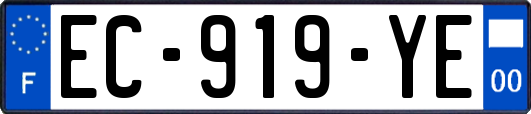 EC-919-YE