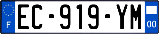 EC-919-YM