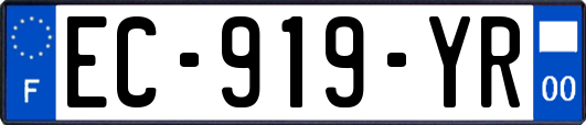 EC-919-YR