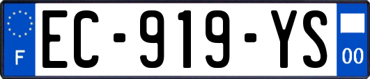 EC-919-YS