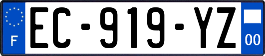 EC-919-YZ