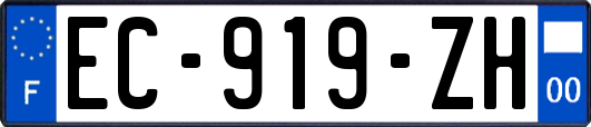 EC-919-ZH