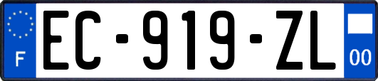 EC-919-ZL