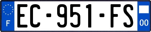 EC-951-FS