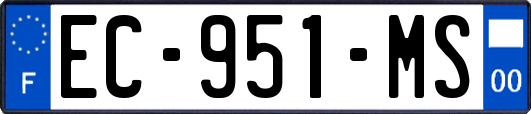 EC-951-MS