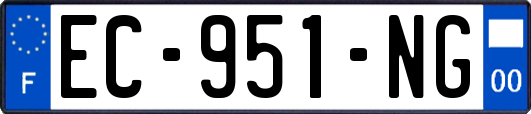 EC-951-NG