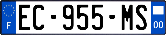 EC-955-MS