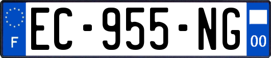 EC-955-NG