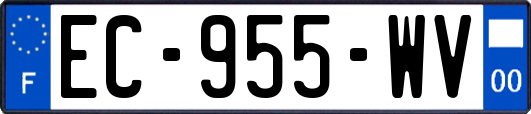 EC-955-WV
