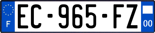 EC-965-FZ