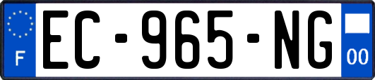 EC-965-NG