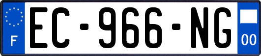 EC-966-NG