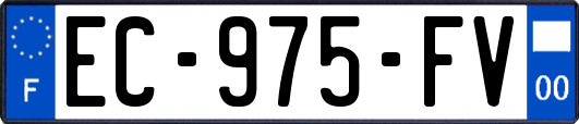 EC-975-FV