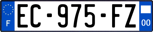 EC-975-FZ