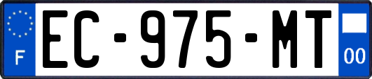 EC-975-MT