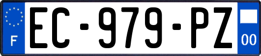 EC-979-PZ
