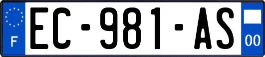 EC-981-AS