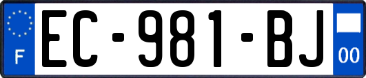 EC-981-BJ