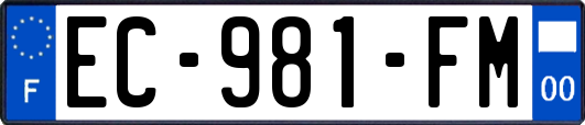EC-981-FM