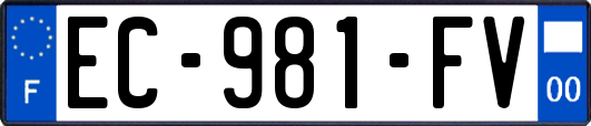 EC-981-FV