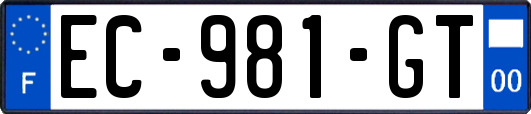 EC-981-GT