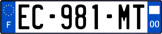 EC-981-MT