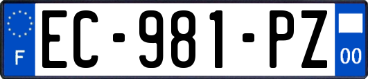 EC-981-PZ
