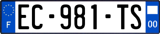 EC-981-TS