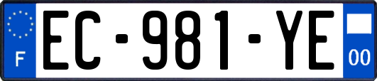 EC-981-YE