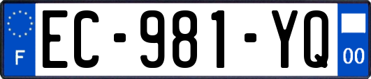 EC-981-YQ