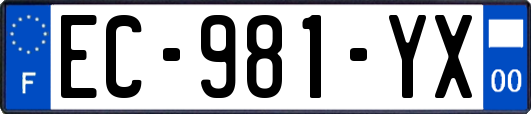 EC-981-YX